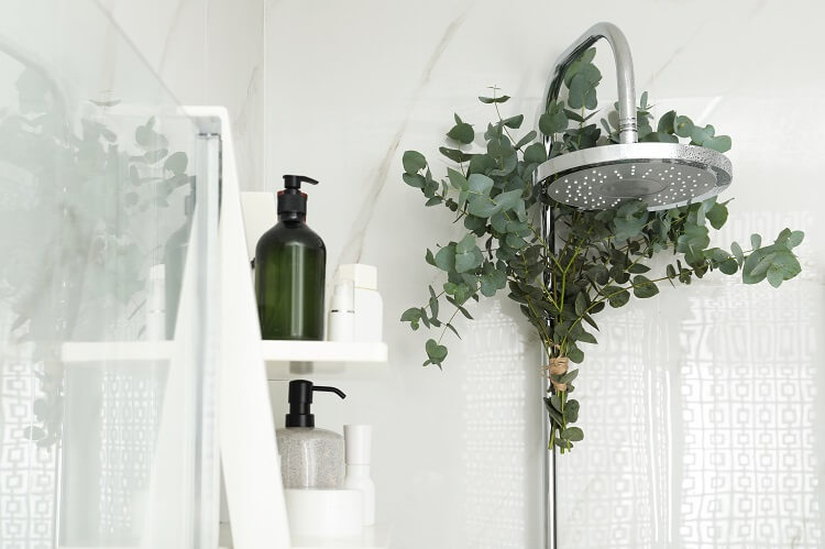 Banho relaxante: ervas frescas